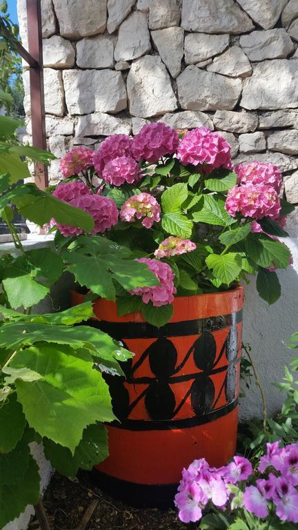 Apartment Cozy Szybenik Zewnętrze zdjęcie