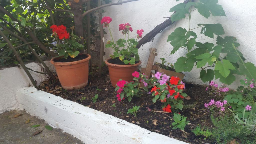 Apartment Cozy Szybenik Zewnętrze zdjęcie